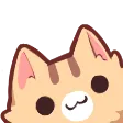 Cat_peek