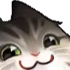 cat_dark