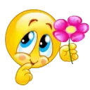 ihihi