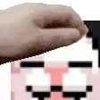 bnuy