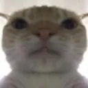 uh