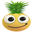 ananas ananas