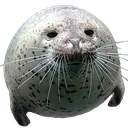 1_rrotund_seal