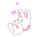 bunny