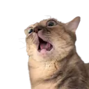 gumbus