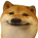 DoggieSmile