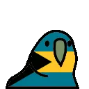 bahamasParrot