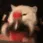 catshake