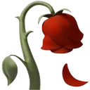 wilted_flower