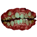 teeth