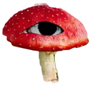mushroom