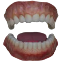 teeth