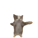 catexcited
