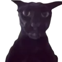 I_