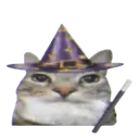 wizardkat