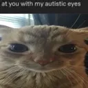 autistic_eyes