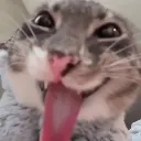 hehe