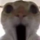 OMG