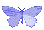 z_butterflyi
