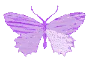z_butterflyv