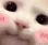 catuwu