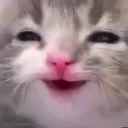 yae