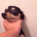 Chokedog