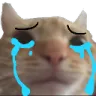 sam_Crying