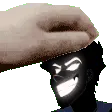 PetAsirtic