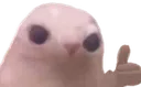 oki