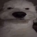 doug