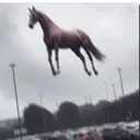 mewhenpooping