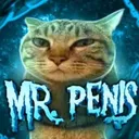 MRPENIS MRPENIS