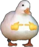 shyduck