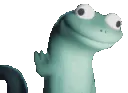 lizard