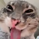 XD
