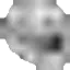 tro