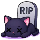 rip rip