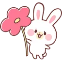 flowerbunny flowerbunny
