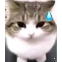 emoji_24