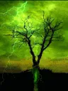 ThunderingSnow