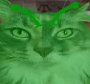 fatcat_alien