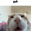GUH