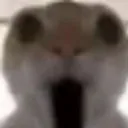 0o0 0o0