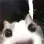 cathi