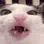 CATICE