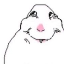 IMG_7744 Discord sticker from ☽・𝙇𝙪𝙣𝙖𝙧 𝙇𝙤𝙪𝙣𝙜𝙚・☽ 𝘈𝘯𝘪𝘮𝘦 ✦ 𝘔𝘶𝘴𝘪𝘤 ✦ 𝘊𝘩𝘢𝘵