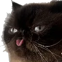 blep