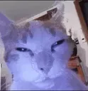 eepy