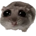 sad_richard